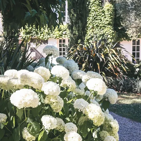 N1 * 생테밀리옹