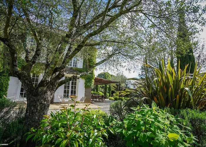 빌라 N1 생테밀리옹