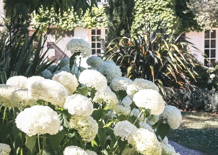 N1 * 생테밀리옹